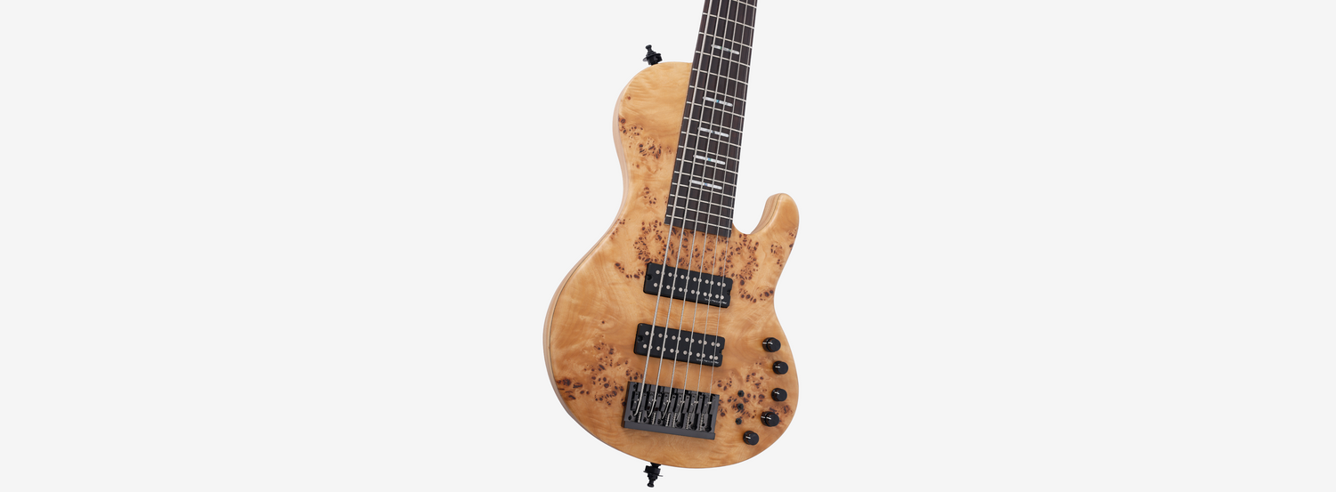 Sire Marcus Miller F10 6-String