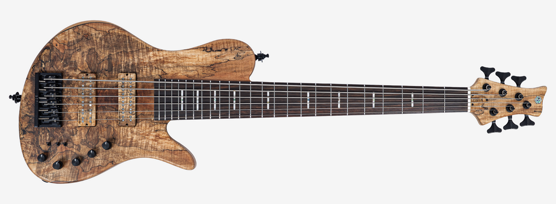 Sire Marcus Miller F10dx 6-String