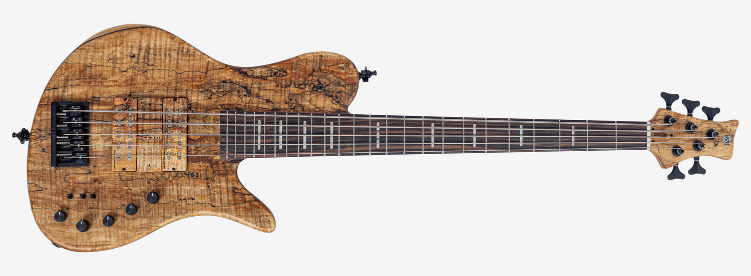Marcus Miller F10 Dx